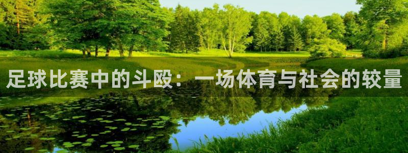  足球比赛中的斗殴：一场体育与社会的较量
