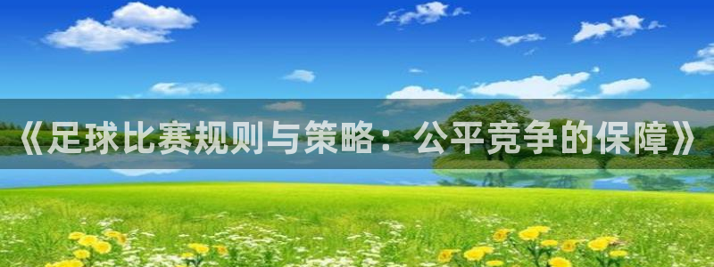  《足球比赛规则与策略：公平竞争的保障》
