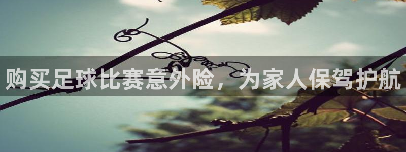  购买足球比赛意外险，为家人保驾护航