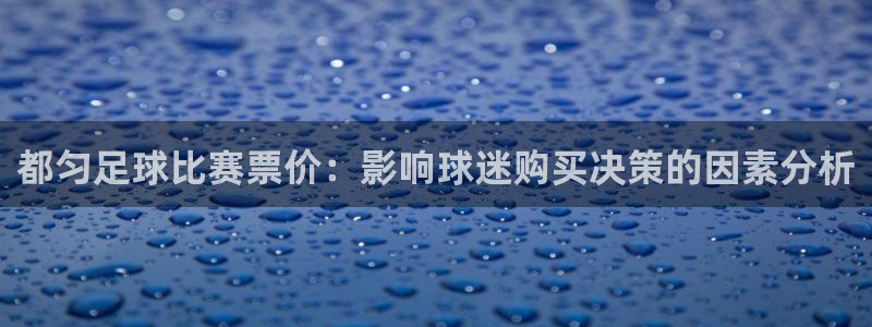 都匀足球比赛票价：影响球迷购买决策的因素分析