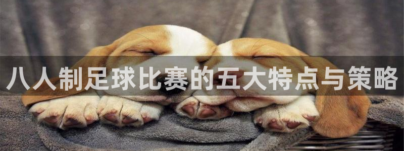  八人制足球比赛的五大特点与策略