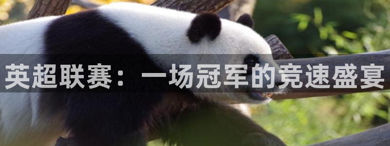 英超联赛：一场冠军的竞速盛宴