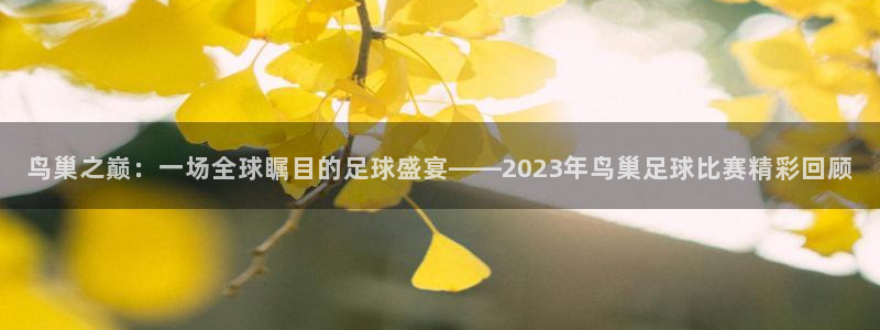  鸟巢之巅：一场全球瞩目的足球盛宴——2023年鸟巢足球比赛精