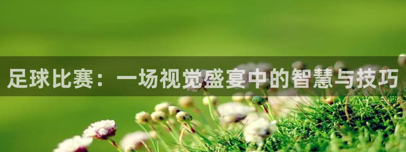 足球比赛：一场视觉盛宴中的智慧与技巧