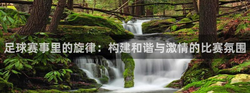 足球赛事里的旋律：构建和谐与激情的比赛氛围