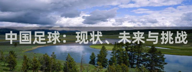  中国足球：现状、未来与挑战