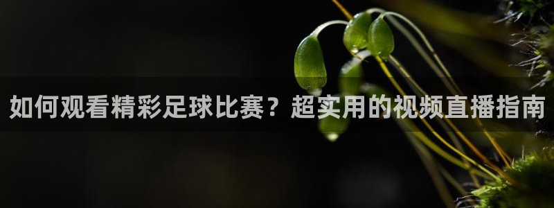  如何观看精彩足球比赛？超实用的视频直播指南