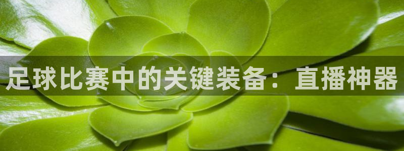  足球比赛中的关键装备：直播神器