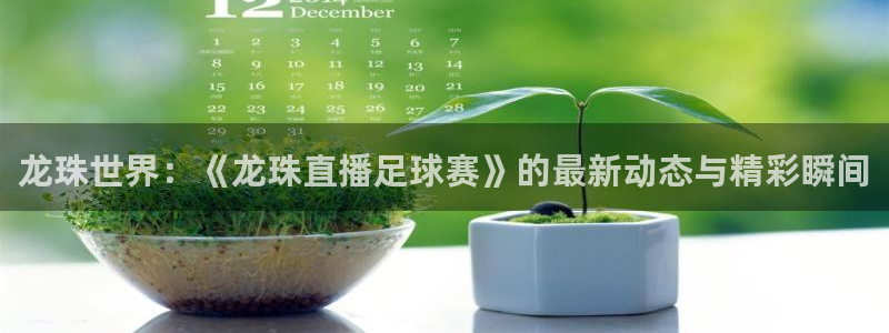  龙珠世界：《龙珠直播足球赛》的最新动态与精彩瞬间