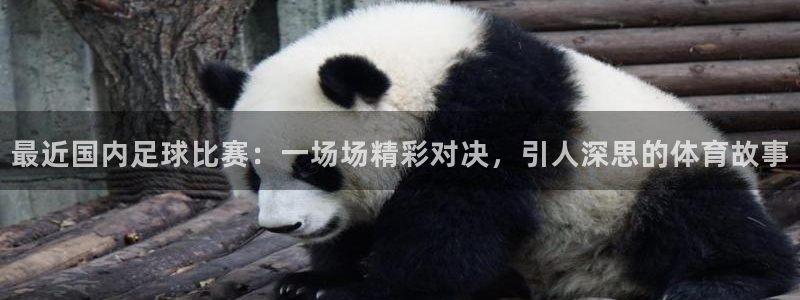  最近国内足球比赛：一场场精彩对决，引人深思的体育故事