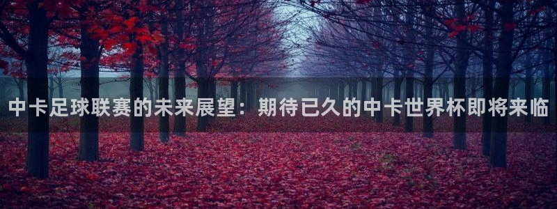 中卡足球联赛的未来展望：期待已久的中卡世界杯即将来临