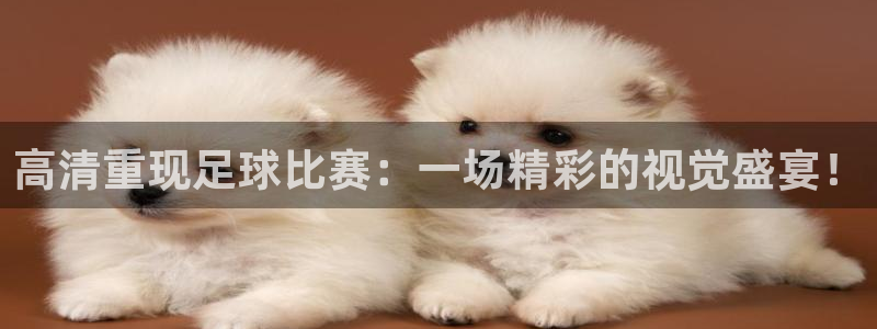 高清重现足球比赛：一场精彩的视觉盛宴！