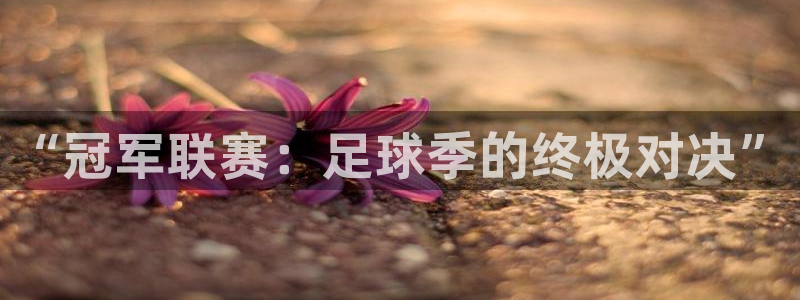 “冠军联赛：足球季的终极对决”