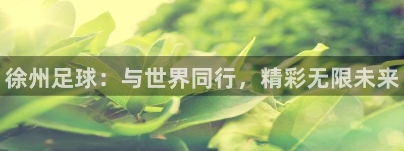 徐州足球：与世界同行，精彩无限未来