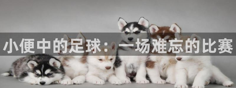 小便中的足球：一场难忘的比赛