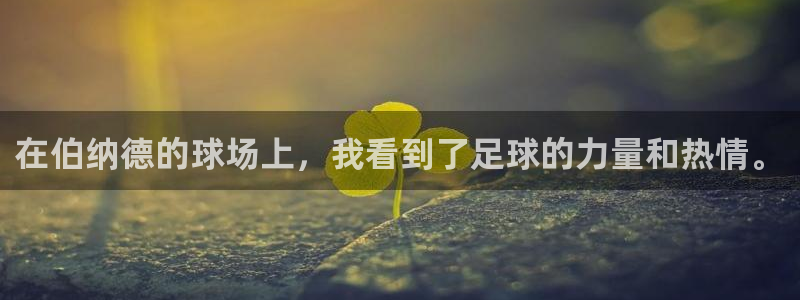 在伯纳德的球场上，我看到了足球的力量