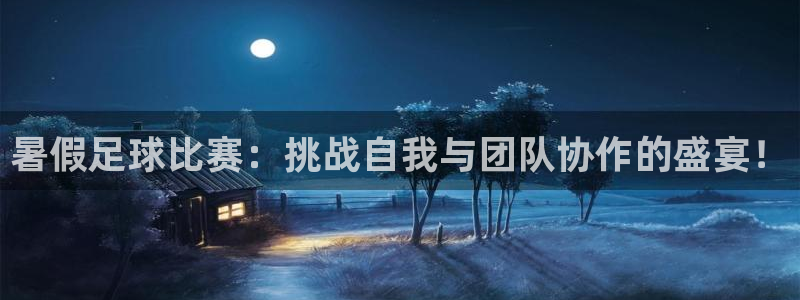 暑假足球比赛：挑战自我与团队协作的盛