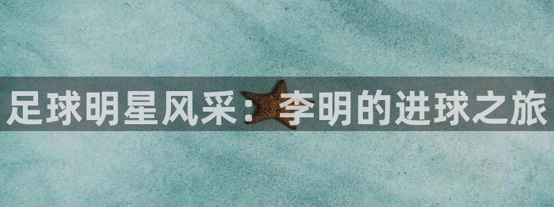 足球明星风采：李明的进球之旅