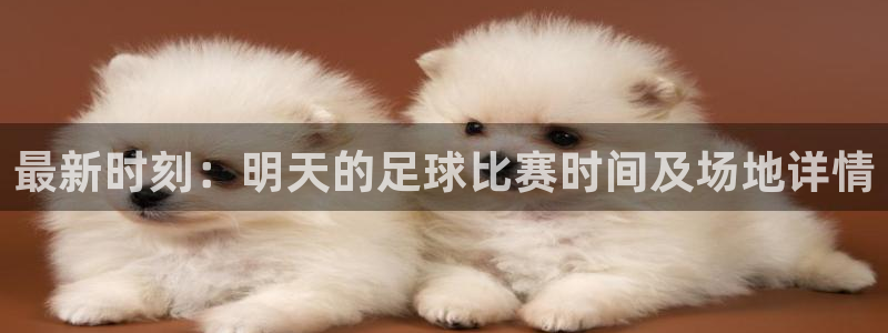 最新时刻：明天的足球比赛时间及场地详