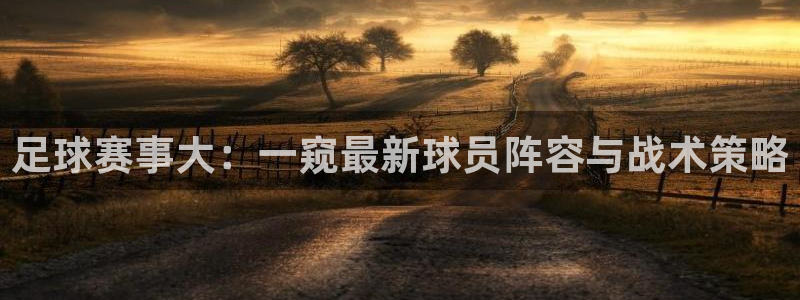 足球赛事大：一窥最新球员阵容与战术策