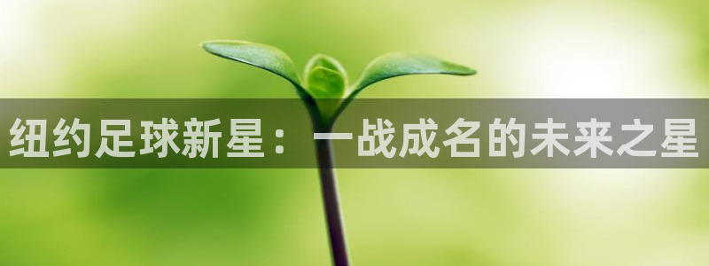 纽约足球新星：一战成名的未来之星