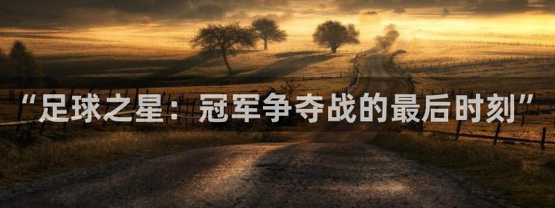 “足球之星：冠军争夺战的最后时刻”