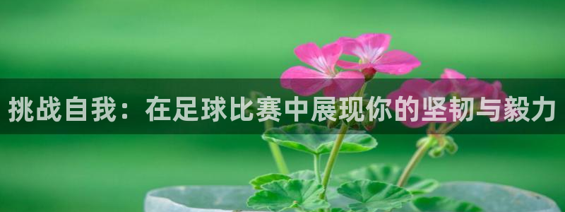 挑战自我：在足球比赛中展现你的坚韧与