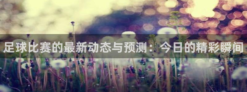 足球比赛的最新动态与预测：今日的精彩