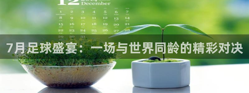 7月足球盛宴：一场与世界同龄的精彩对
