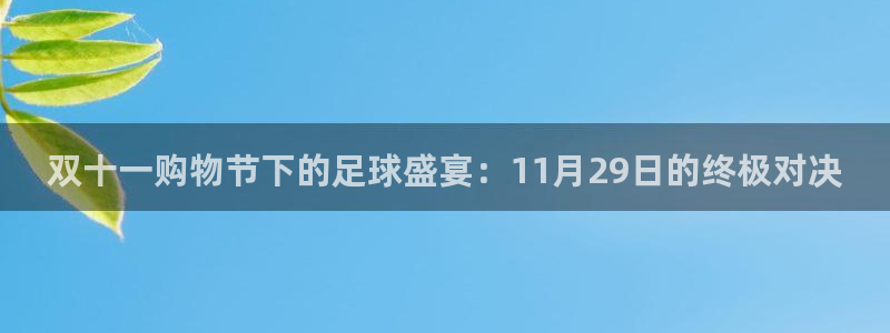 双十一购物节下的足球盛宴：11月29