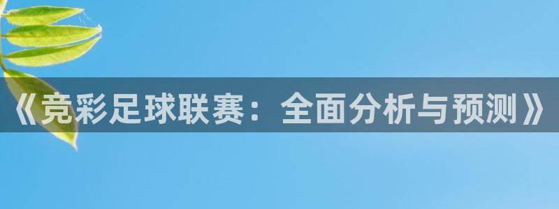 《竞彩足球联赛：全面分析与预测》