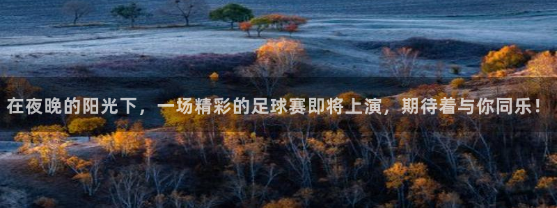  在夜晚的阳光下，一场精彩的足球赛即将上演，期待着与你同乐！