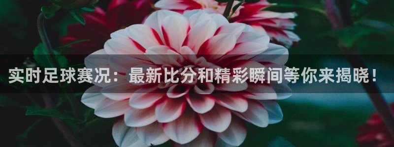 实时足球赛况：最新比分和精彩瞬间等你来揭晓！