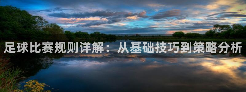  足球比赛规则详解：从基础技巧到策略分析