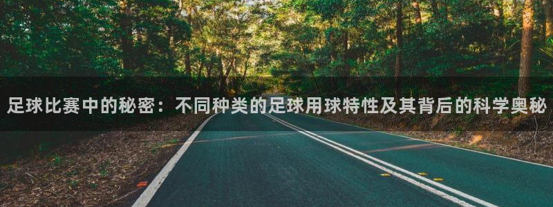  足球比赛中的秘密：不同种类的足球用球特性及其背后的科学奥秘