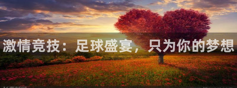  激情竞技：足球盛宴，只为你的梦想