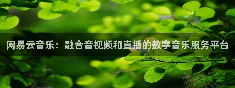 雨燕直播体育平台：网易云音乐：融合音视频和直播的数字音乐服务平台