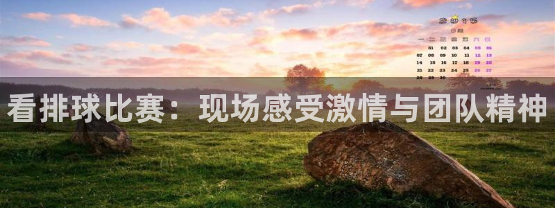 雨燕体育直播高清在线观看免费：看排球比赛：现场感受激情与团队精神