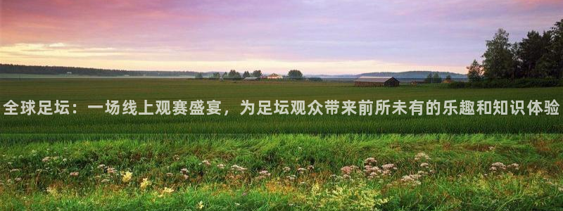雨燕免费直播免费体育直播：全球足坛：一场线上观赛盛宴，为足坛观众带来前所未有的乐趣和知识体验