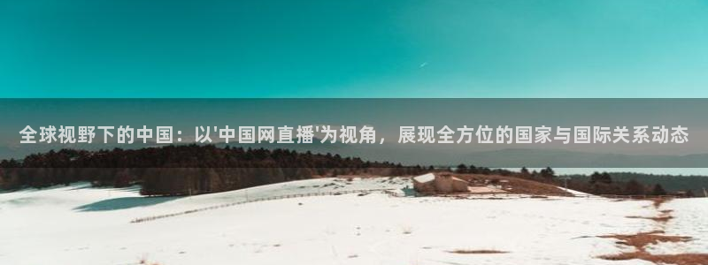 体育直播雨燕：全球视野下的中国：以\'中国网直播\'为视角，展现全方位的国家与国际关系动态