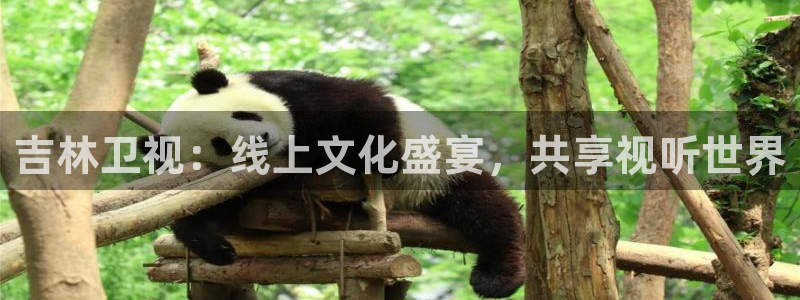 雨燕体育直播免费直播：吉林卫视：线上文化盛宴，共享视听世界
