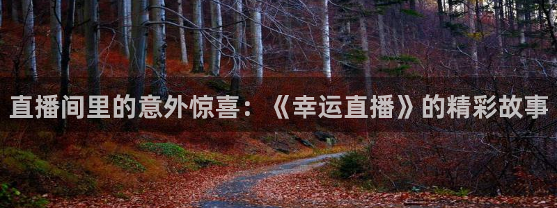 雨燕无插件直播体育：直播间里的意外惊喜：《幸运直播》的精彩故事