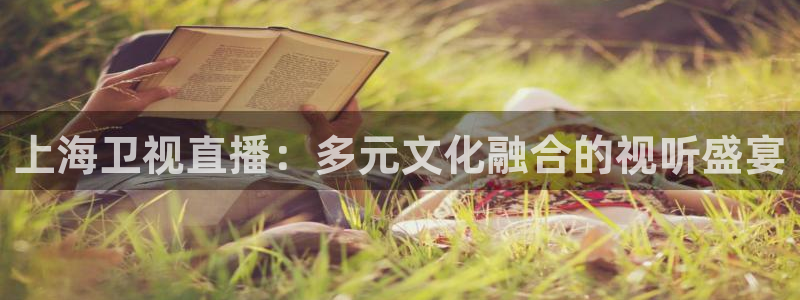 雨燕直播免费看足球：上海卫视直播：多元文化融合的视听盛宴
