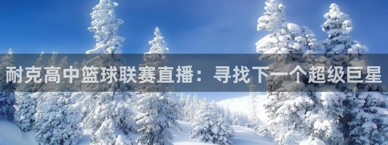雨燕足球体育直播：耐克高中篮球联赛直播：寻找下一个超级巨星