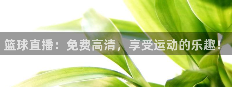 雨燕360体育nba直播免费观看在线：篮球直播：免费高清，享受运动的乐趣！