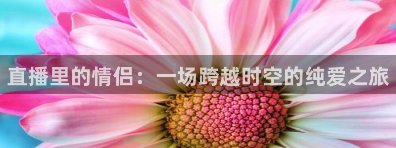 nba直播免费高清雨燕直播：直播里的情侣：一场跨越时空的纯爱之旅